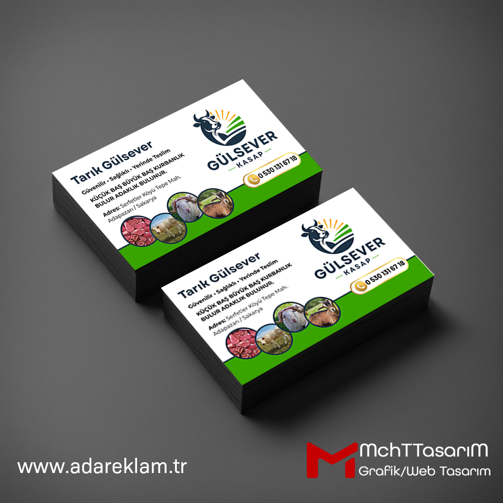 Web Tasarım SEO ve Google Reklam Hizmetleri
